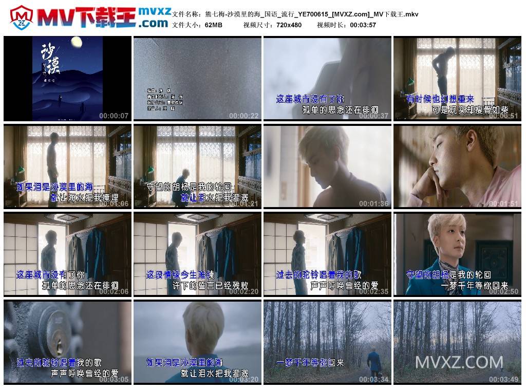 熊七梅-沙漠里的海_国语_流行_YE700615